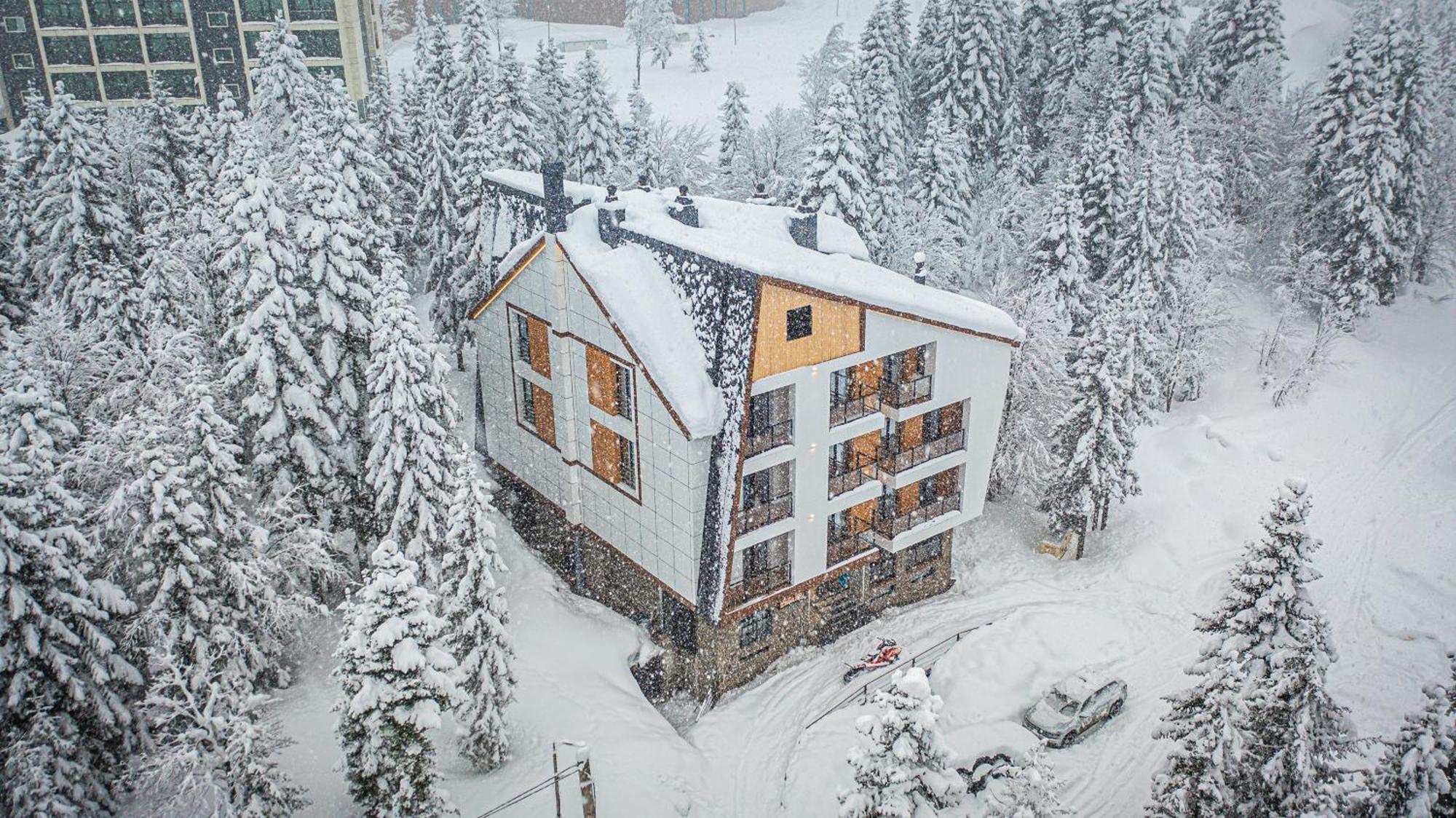 Forest Villa Goderdzi Εξωτερικό φωτογραφία